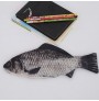 Creative fish knife pencil case